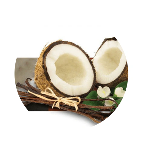 Esencia Coco Vainilla