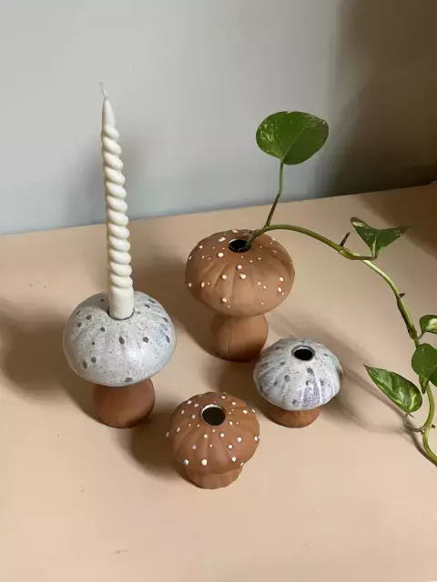 HONGUITO PROPAGADOR - CANDELABRO Tamaño Grande - comprar online