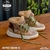 ZAPATILLAS RETRO SNOW 31 - ROCAS