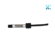 DENSELL Restaurador temporario INLAY - ONLAY implantes (x1Jeringa 3g) -