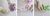 ALGINOR ORTHO alginato ortodontico (450g)- LASCOD Italiano - comprar online