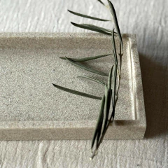 Bandeja Arena en internet