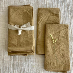 SERVILLETAS DE TUSSOR PACK X 4 - Trendy Corner