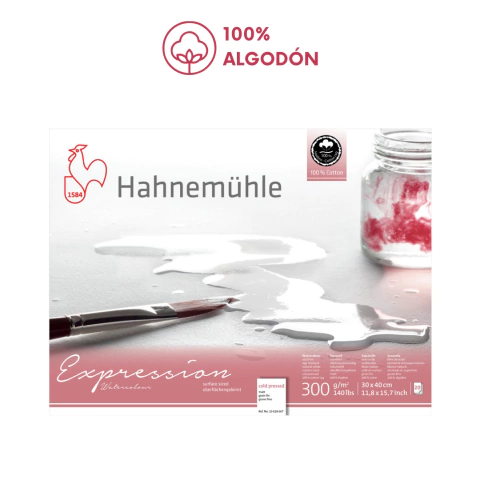 HAHNEMUHLE Block para acuarela Expression 100% algodón 30 x 40 cm 300 g x20 hojas pintura con acuarela - comprar online