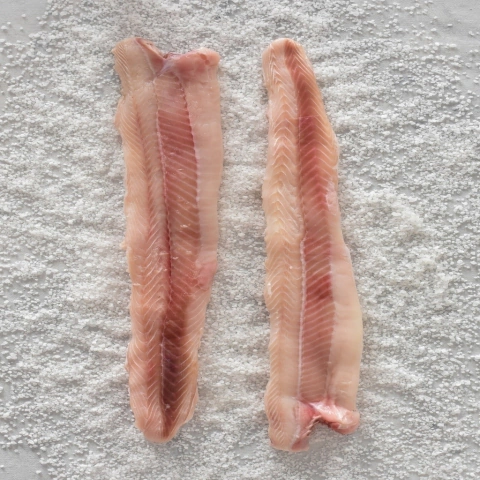 Filet de Gatuzo (Lomito de atún) Congelado Exportacion