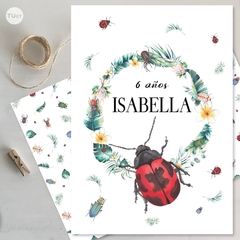 Kit imprimible mariquita ladybug bichos tukit