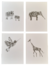 Envelope Bichos Tipográficos [PÔSTER A5]