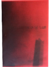 The Bloodstains on the Floor