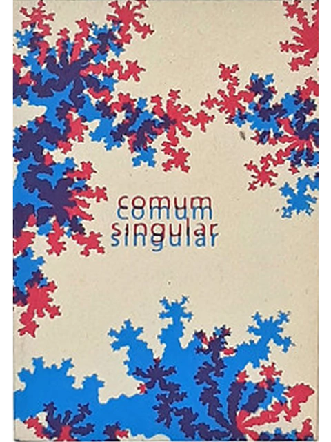 Comum Singular: 10(12) anos do coletivo Lugar Comum