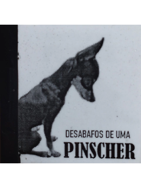 Desabafos de uma Pinscher