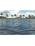 aqui no lago