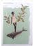 Sonhos oceânicos