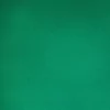 Venta de Telas por Metro - Jogging acetato Verde Benneton