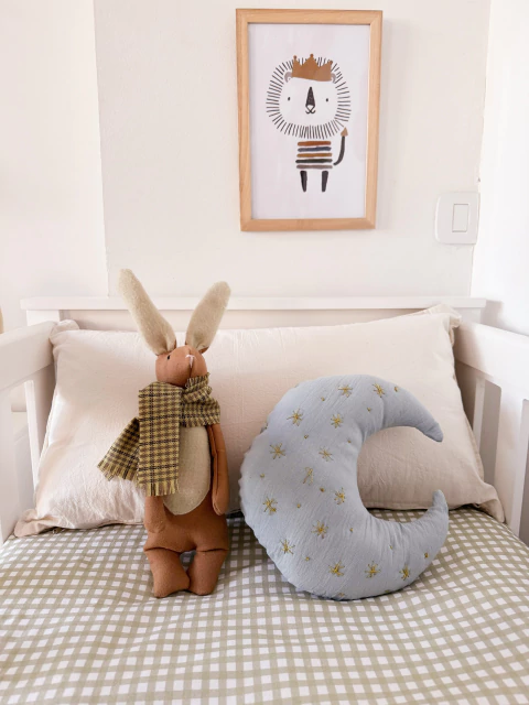 Almohadón Luna Bordado