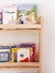 Biblioteca Montessori en internet