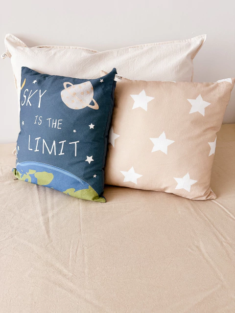 Almohadon Estampa 30x30 en internet
