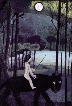 El libro de la jungla - comprar en línea