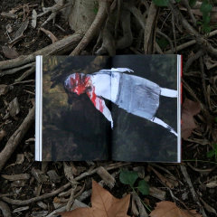 El señor de las moscas ( pasta blanda) - comprar en línea