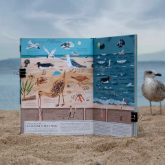 SIETE MARES - Libros del Zorro Rojo México