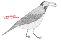 ¿Quién come a quién? - comprar en línea