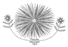 ¿Quién come a quién? - Libros del Zorro Rojo México