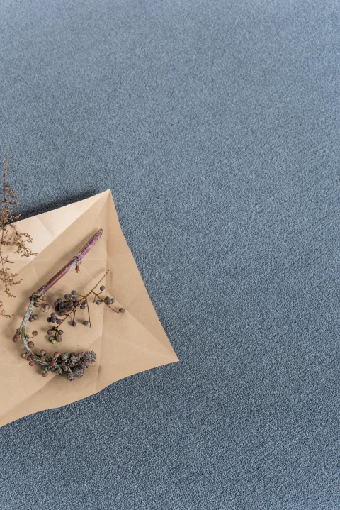 Alexa "Chroma Colors" - comprar online