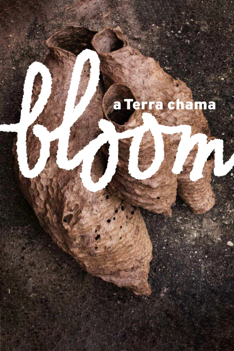 Bloom Brasil "A terra chama" - comprar online