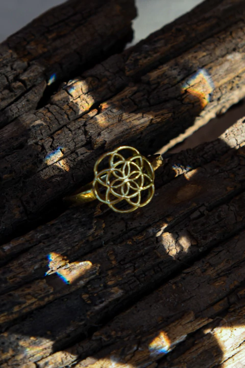 ANILLO SEMILLA DE LA VIDA DORADO