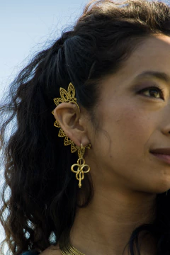 AROS SERPIENTE DORADOS en internet