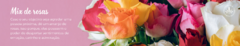 Banner da categoria Mix de rosas