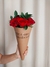 Cone Paixão