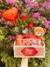 Kit Talento - comprar online