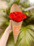 Cone de 06 rosas - comprar online
