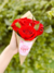Cone de 06 rosas