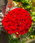 Buquê de 50 Rosas