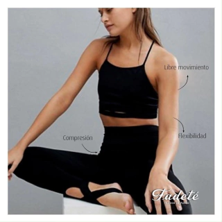 Polisap - (Art. 1738/00) en internet