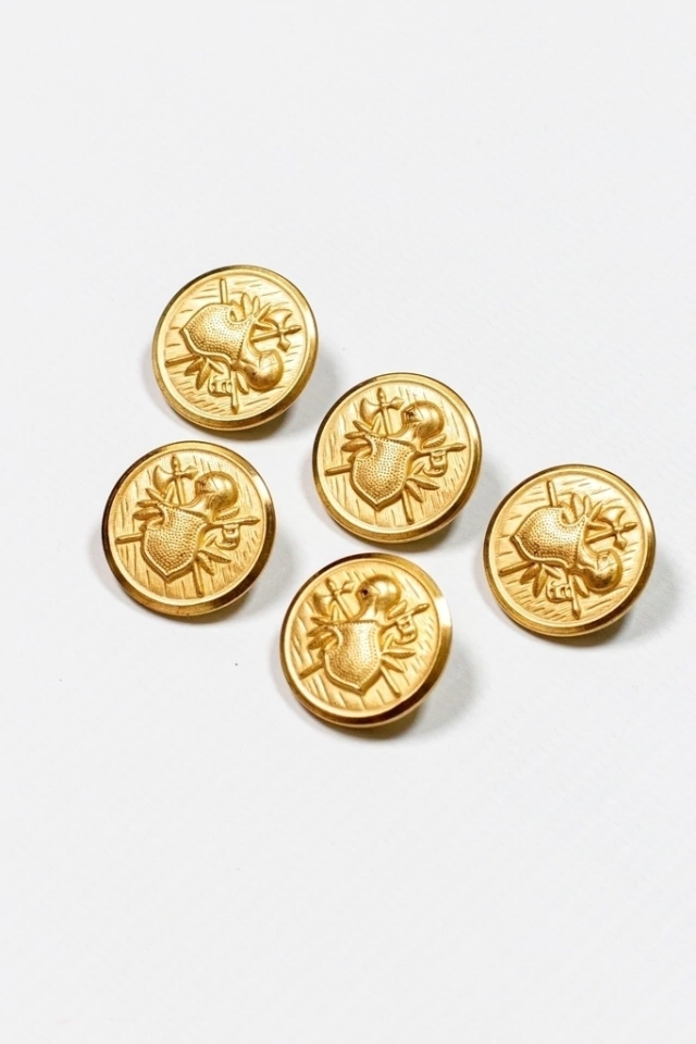 GOLDEN SHIELD - Juego de 5 botones para saco