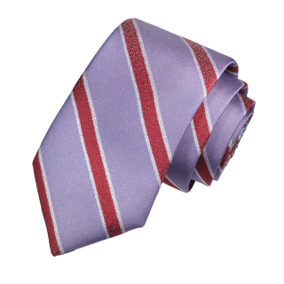 PROFESSIONAL SLIM TIE - 6 CM DE PALA ( 34)