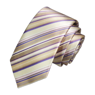 SLIM PROFESSIONAL TIE - 6 CM ( 34)