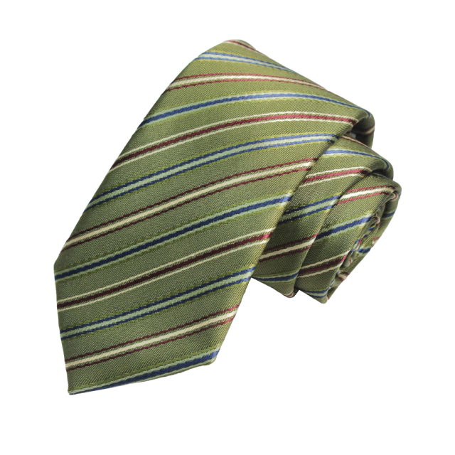 PROFESSINAL SLIM TIE - 6 CM ( 34)