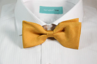 SILK CLASSIC BOWTIE ( M9) -