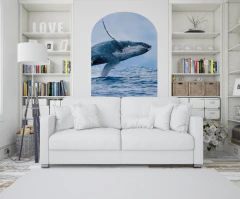 Arcos-15 - comprar online