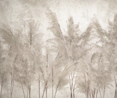 SH 06 - (copia) on internet