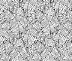 SH 014 - (copia) on internet