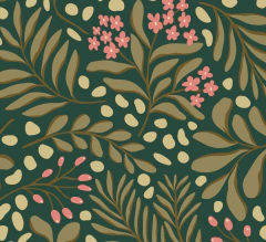 CAN85 - (copia) on internet