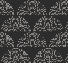 CAN95 - (copia) on internet