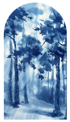 Arcos-20 na internet