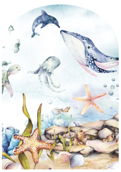 Arcos-38 na internet