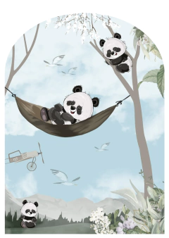 Arcos-40 on internet