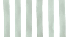 TT RAYAS - Decolocuras